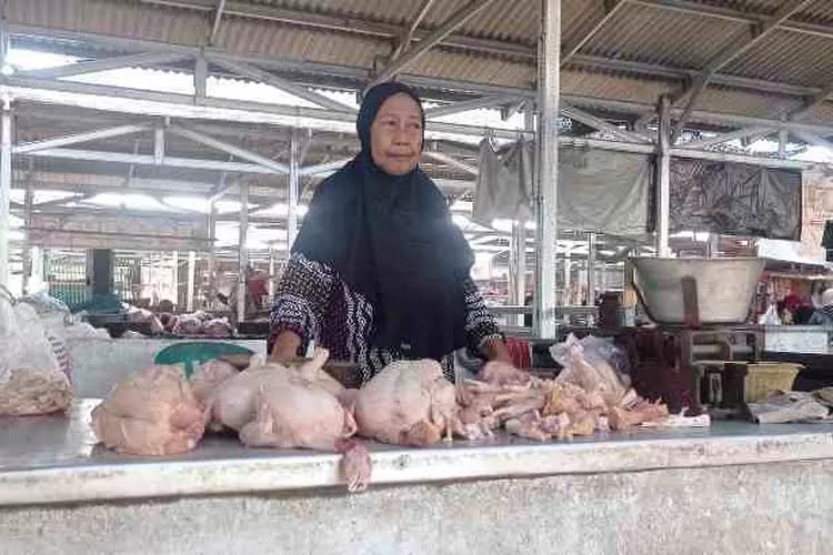 Permintaan Tinggi, Panen Mundur, Harga Daging Ayam di Kediri Naik
