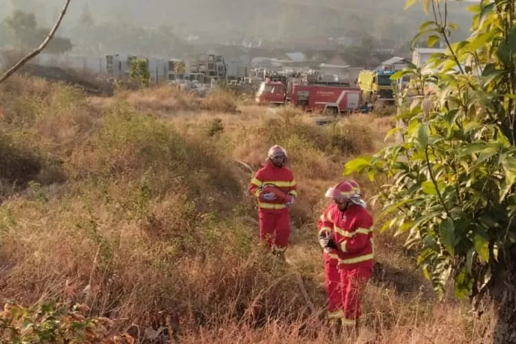 BPBD Kediri Intensifkan Pemantauan Daerah Rawan Karhutla
