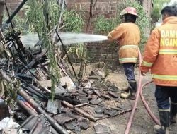 Bakar Sampah Sembarangan, Kandang Ternak di Nganjuk Habis Terbakar