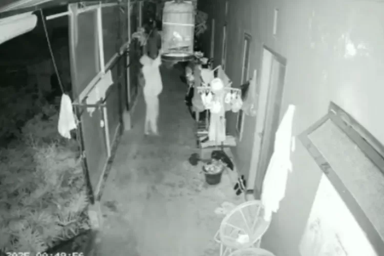 Marak Pencurian Burung di Bumiaji, Polres Batu Turun Tangan