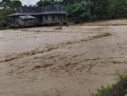 Dalam Dua Hari, BNPB Catat 25 Bencana di Indonesia, Karhutla Masih Mendominasi