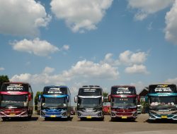 Berawal dari Jasa Minibus, PT Avicent Indo Utama Kini Kebanjiran Orderan Bus Pariwisata