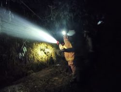 Rumpun Bambu di Tanjunganom Hangus Terbakar, Ini Sebabnya