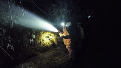 Rumpun Bambu di Tanjunganom Hangus Terbakar Akibat Api Sampah