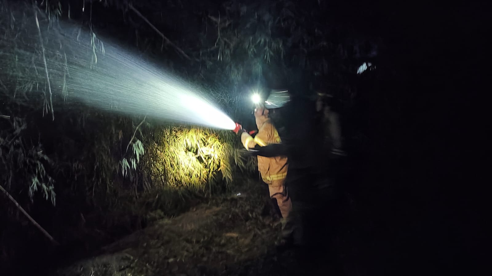 Rumpun Bambu di Tanjunganom Hangus Terbakar Akibat Api Sampah