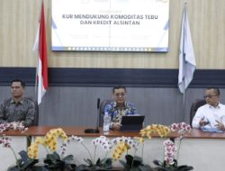 Pemerintah Longgarkan Aturan KUR untuk Perkebunan Tebu, Dorong Swasembada Gula Nasional