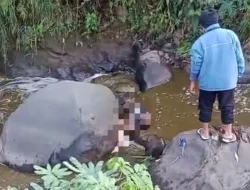 Dua Mayat Bersama Motor Ditemukan di Sungai Wiyurejo Pujon, Diduga Kecelakaan Tunggal