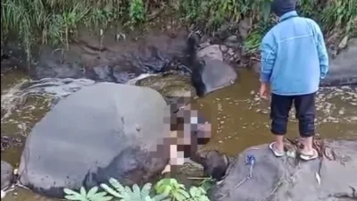 Dua Mayat Bersama Motor Ditemukan di Sungai Wiyurejo Pujon, Diduga Kecelakaan Tunggal