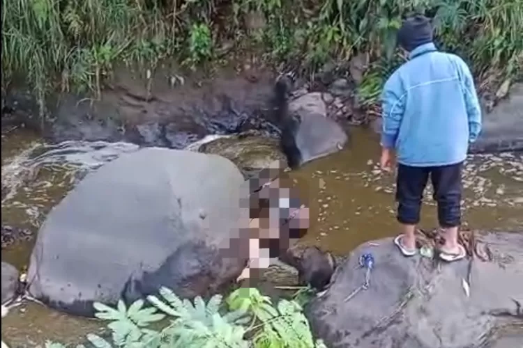 Dua Mayat Bersama Motor Ditemukan di Sungai Wiyurejo Pujon, Diduga Kecelakaan Tunggal