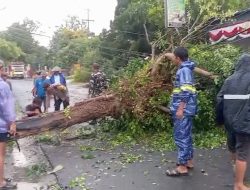 Hujan Deras Disertai Angin Kencang Terjang Ngimbang, Lamongan, Rumah dan Fasilitas Umum Rusak
