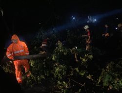 Puting Beliung Terjang Lamongan, Jalan Lumpuh, Bangunan Rusak,  Aparat dan Warga Bergerak Cepat