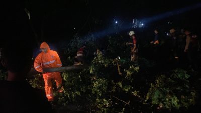 Puting Beliung Terjang Lamongan, Jalan Lumpuh, Bangunan Rusak,  Aparat dan Warga Bergerak Cepat