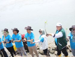 Unisla Tanam 1.000 Pohon Mangrove, Dorong Perikanan Berkelanjutan di Pesisir Lamongan
