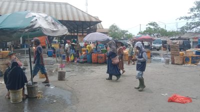 Harga Ikan di Lamongan Melonjak, Aktivitas Pasar Menurun Akibat Pasokan Terbatas