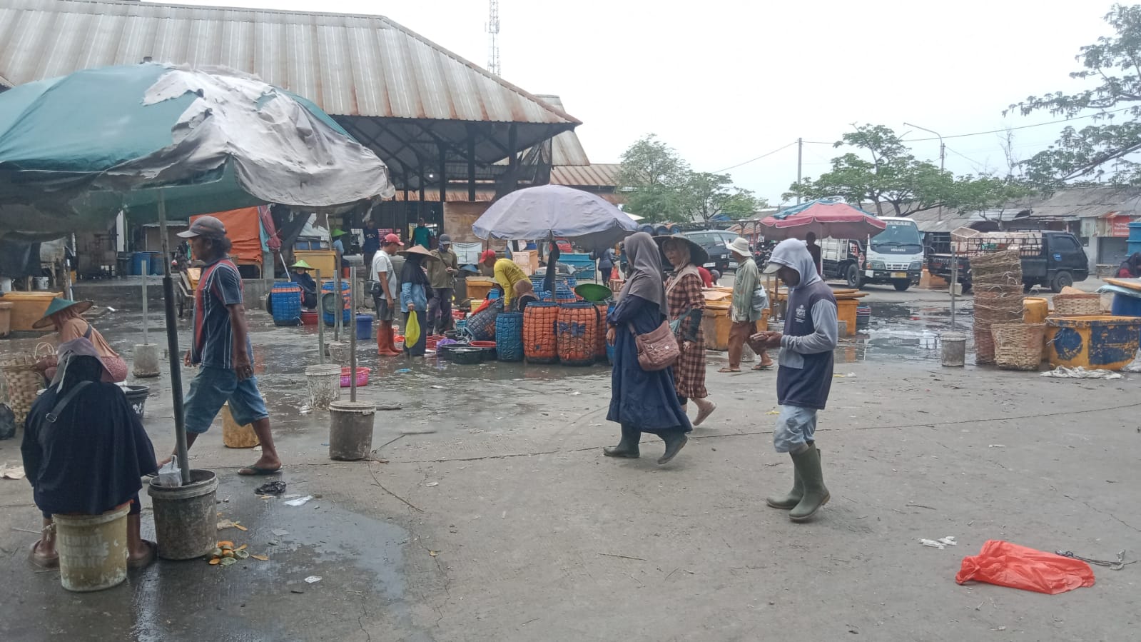 Harga Ikan di Lamongan Melonjak, Aktivitas Pasar Menurun Akibat Pasokan Terbatas