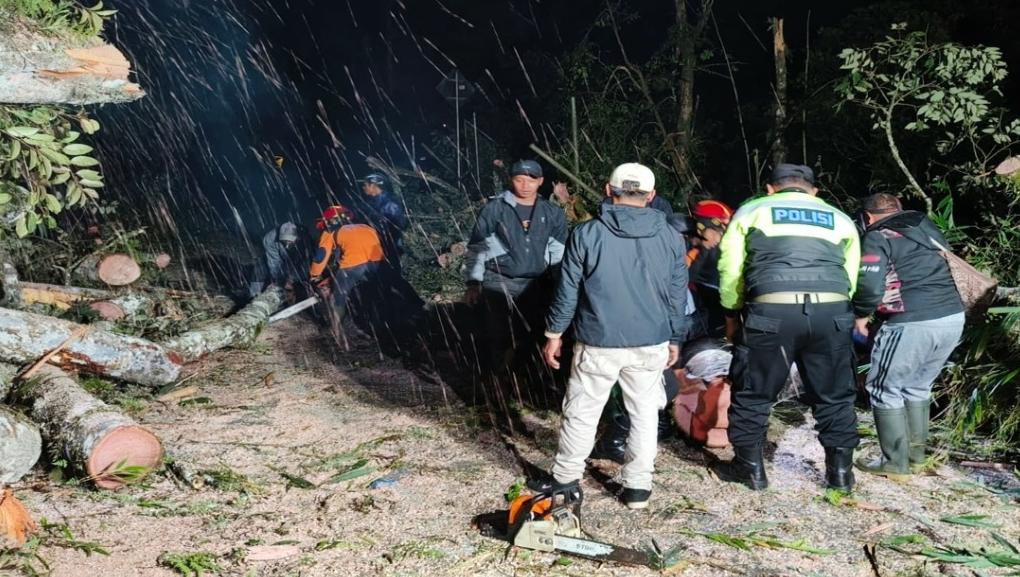 Pohon Raksasa Roboh Tutup Akses Jalan Raya Cangar, Tim BPBD Kota Batu Evakuasi Tengah Malam