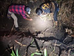 Mayat Terbakar di Kebun Tebu Gedangan Terungkap, Korban Dikenal Warga Druju Sumbermanjing Wetan