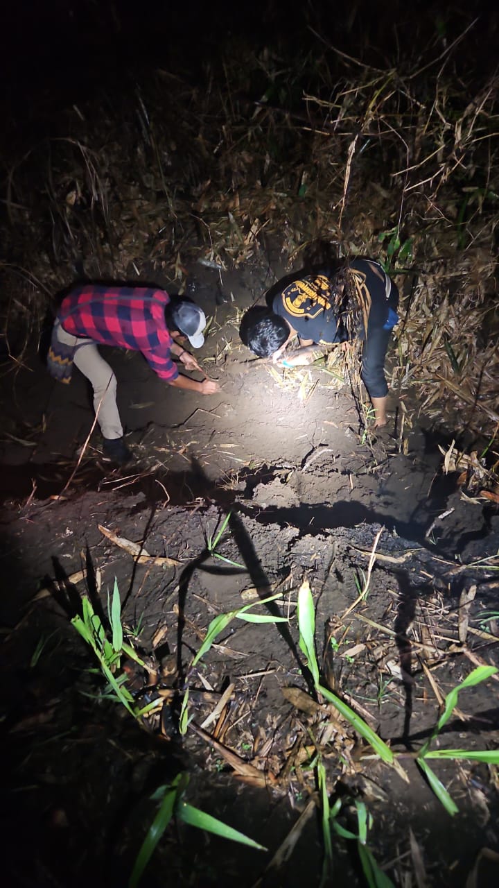 Mayat Terbakar di Kebun Tebu Gedangan Terungkap, Korban Dikenal Warga Druju Sumbermanjing Wetan