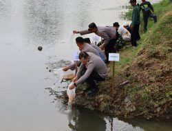 Lestarikan Ekosistem Sungai, Kapolres Tulungagung Tebar 5.000 Benih Ikan Tombro di Sungai Ngrowo