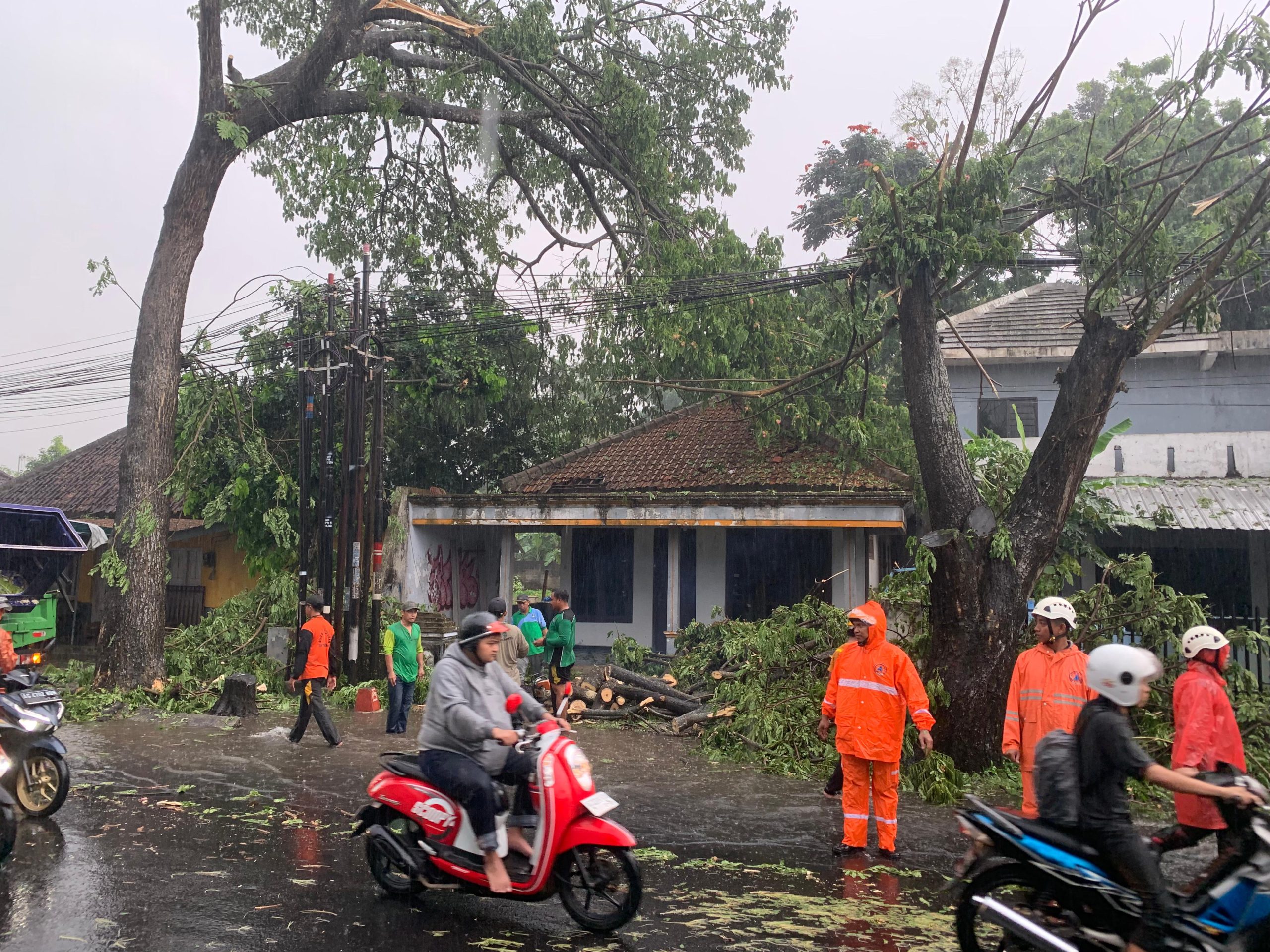 Memasuki Musim Hujan, Polres Blitar Ingatkan Pengendara Waspadai Pohon Tumbang