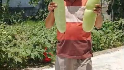 Temukan Kedamaian di Tengah Tugas, Perwira Lalu Lintas Ini Tekuni Hobi Bertanam