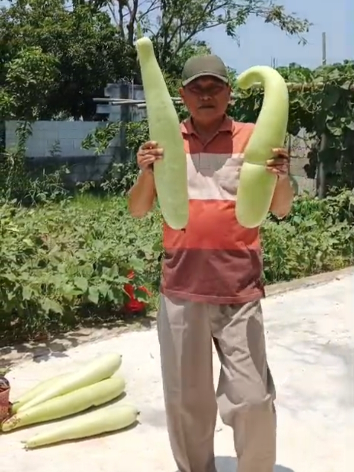 Temukan Kedamaian di Tengah Tugas, Perwira Lalu Lintas Ini Tekuni Hobi Bertanam