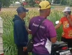 Musim Hujan, Lahan Jagung di Desa Baye, Kediri, Terendam, Produktivitas Petani Turun Drastis
