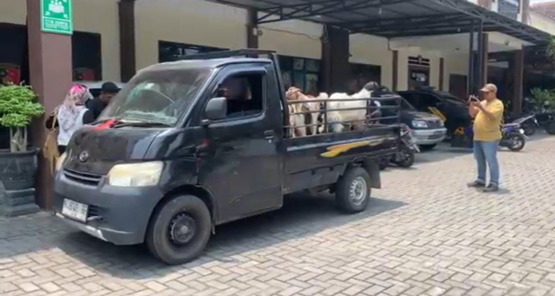 Tersentuh Sikap Ramah, Yuliatin Tak Menyangka 8 Kambingnya Dibawa Kabur oleh Pembeli Palsu