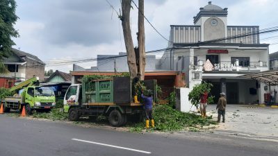 Antisipasi Bahaya Musim Hujan, DLHKP Kota Kediri Pangkas Pohon di Jalan Letjend Sutoyo