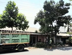 Antisipasi Musim Hujan, DLHKP Kota Kediri Pangkas Dahan Pohon di Jalan Letjend Sutoyo