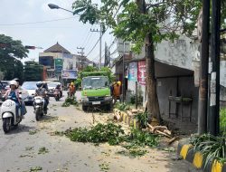 Cegah Gangguan Listrik Saat Musim Hujan, PLN ULP Grogol Kediri Pangkas Pohon di Jalan Ahmad Dahlan