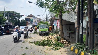 Cegah Gangguan Listrik Saat Musim Hujan, PLN ULP Grogol Kediri Pangkas Pohon di Jalan Ahmad Dahlan