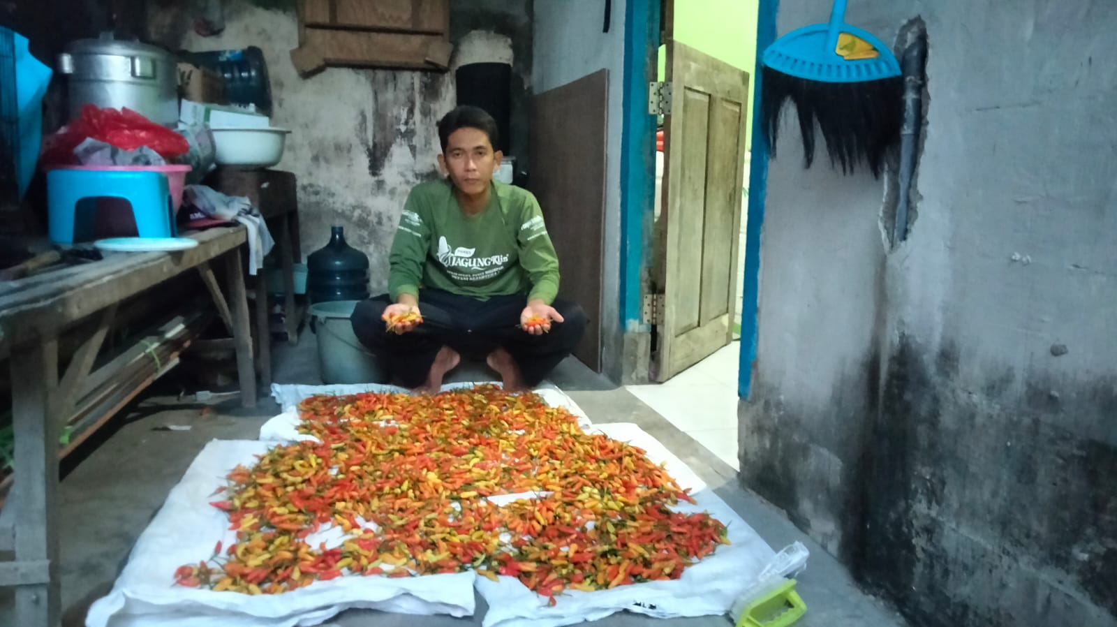 Harga Cabai Bertahan Stabil, Petani Jombang Optimis Hadapi Cuaca Ekstrem