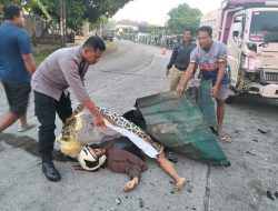 Pemuda Asal Sukoanyar, Mojo, Tewas Usai Tabrak Truk di Jalan Raya Janti Wates