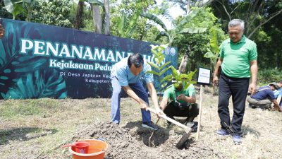 Pemkab Jombang dan Kejaksaan Agung Tanam Pohon di Sumberboto, Perkuat Gerakan Hijau Berkelanjutan