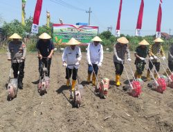 Sinergi Lintas Sektor di Jombang, Wujud Nyata Dukungan terhadap Ketahanan Pangan Nasional