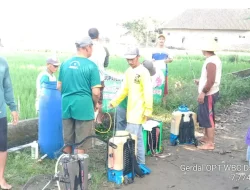 Gerdal Jadi Andalan Petani Kabupaten Kediri Cegah Serangan Hama OPT