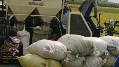Bulog Kediri Tegaskan Komitmen Serap Gabah Petani Sesuai HPP