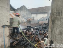 Bakar Sampah, Kandang Sapi Milik Warga Pakis Hangus Terbakar