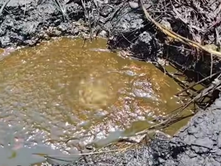 Semburan Minyak di Hutan Nganjuk Hebohkan Warga, Diduga Peninggalan Zaman Belanda