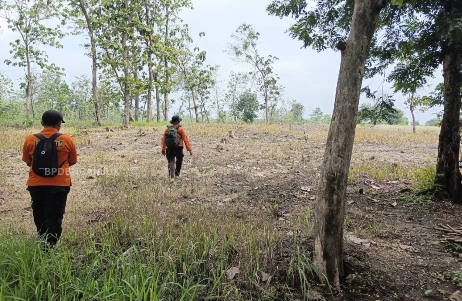 Hilang 24 Jam, Nenek di Gondang Ditemukan Selamat di Tengah Hutan