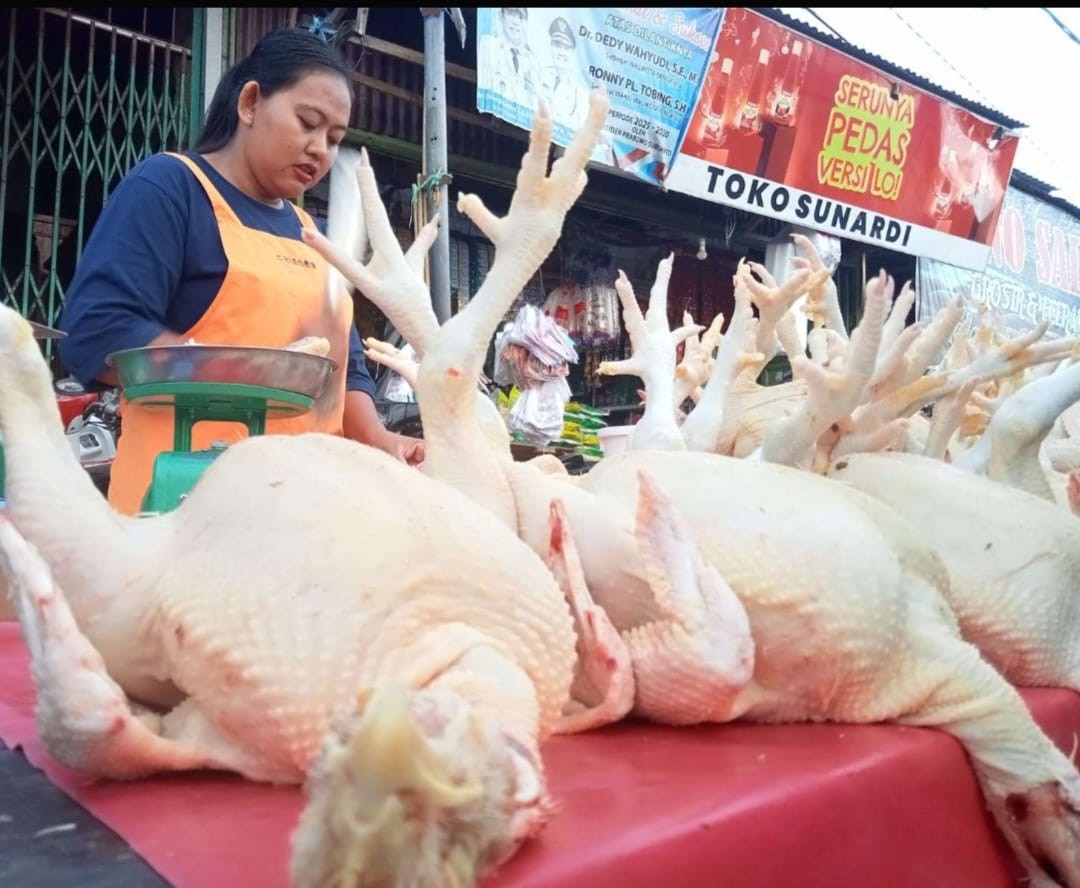 Harga Daging Ayam Melonjak, Pedagang Terjepit, Pembeli Menjerit