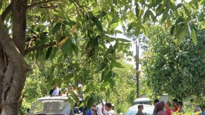 Mobil Terperosok di Jalan Sempit Mojoroto, Petugas Damkar Evakuasi