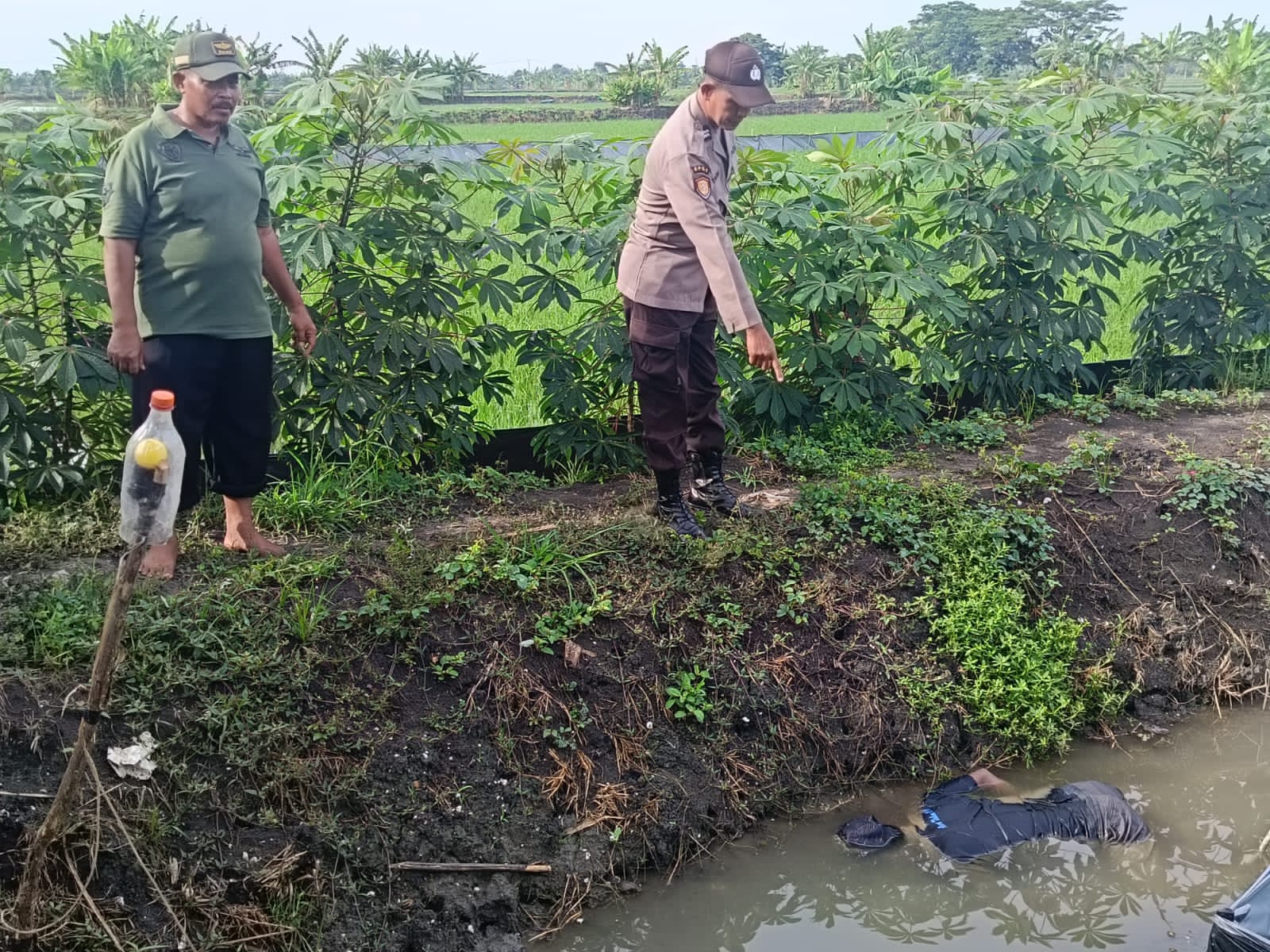 Petani di Lamongan Meninggal Tersengat Listrik Jebakan Tikus di Area Persawahan