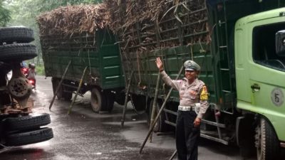 Truk Gandeng Bermuatan Tebu Asal Kediri Terguling di Tikungan Letter S Ngimbang, Ini Kronologinya