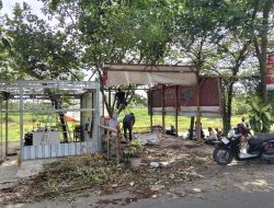 PKL Bongkar Lapak di Jalan Tirtosari, Penataan Berjalan Lancar Tanpa Konflik