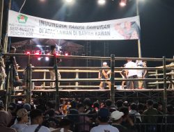 Pencak Dor Kediri Jadi Ajang Persaudaraan Pesilat Nusantara, Meriahkan Hari Santri di Omah Sawah