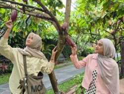 Tunjukkan Boarding Pass, Nikmati Diskon Hingga 25 Persen di Kampung Coklat Blitar