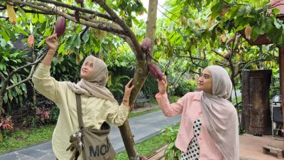 Tunjukkan Boarding Pass, Nikmati Diskon Hingga 25 Persen di Kampung Coklat Blitar