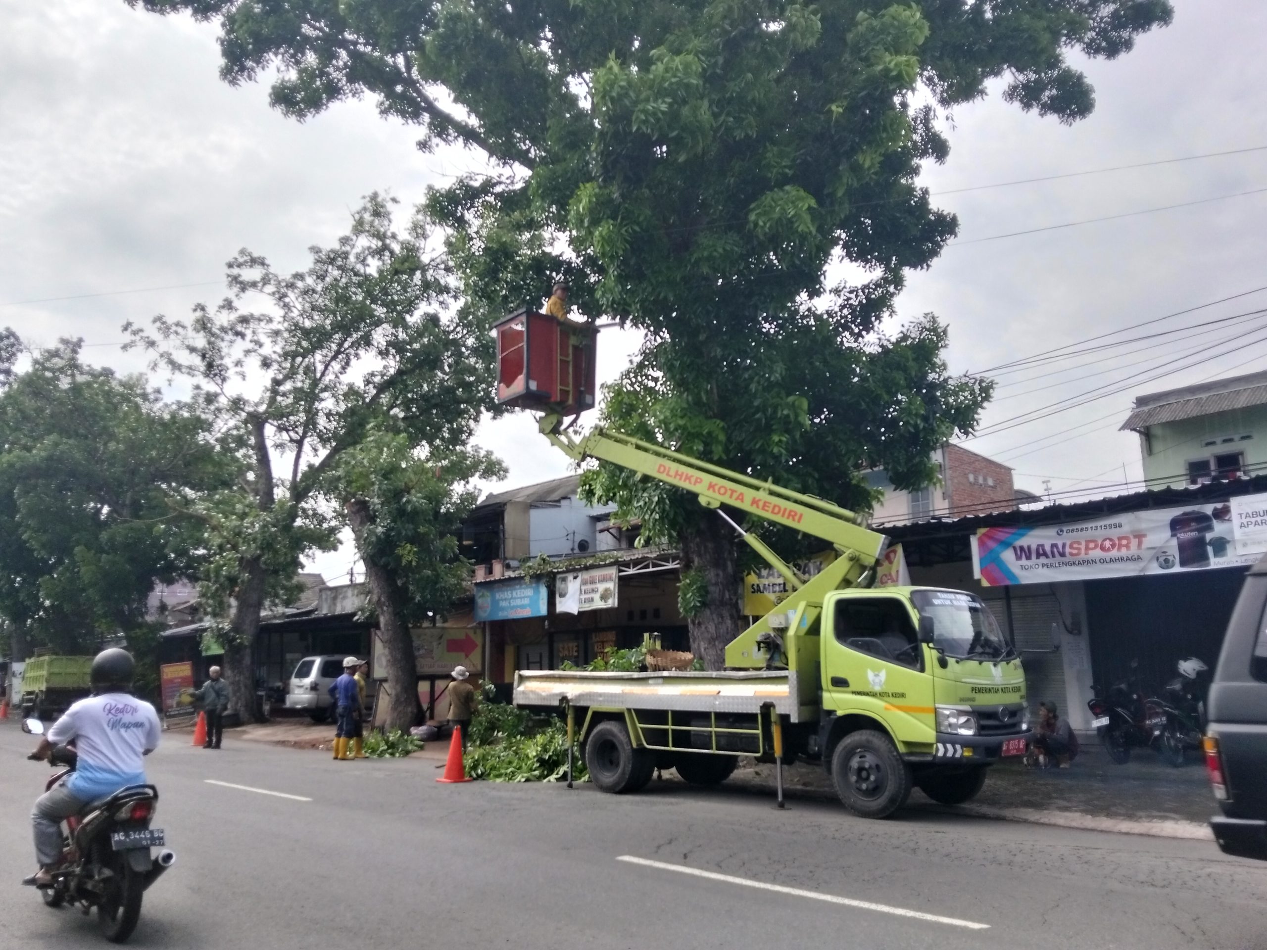 Antisipasi Cuaca Ekstrem, DLHKP Kediri Tebang Pohon Tua di Kecamatan Pesantren